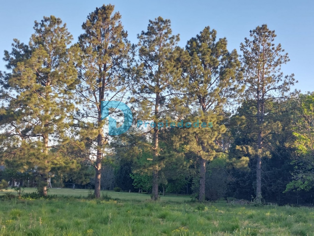 Venta Lote - Club De Campo La Ranita / Manzanares