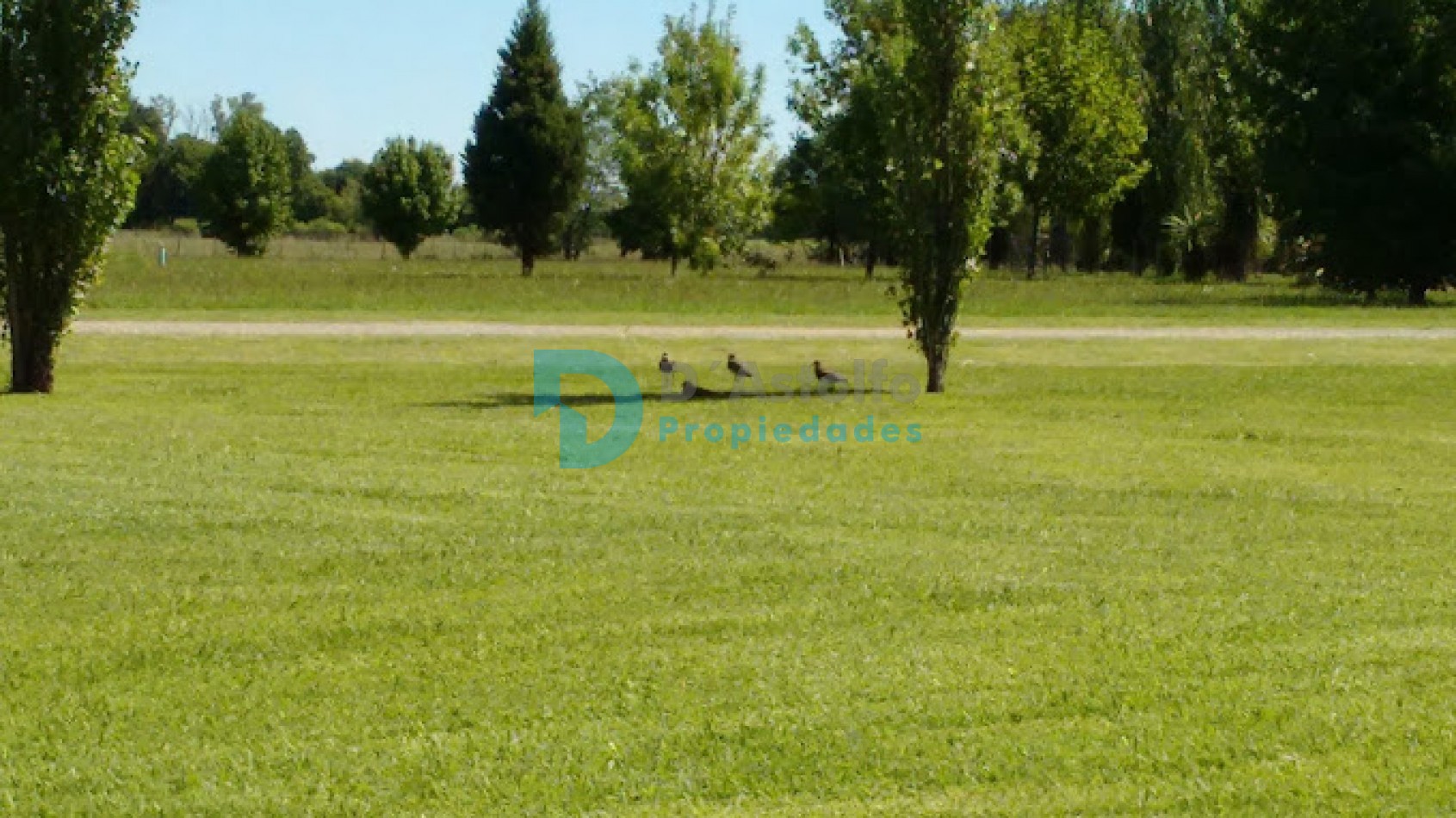 Venta Lote - Club De Campo La Ranita / Manzanares